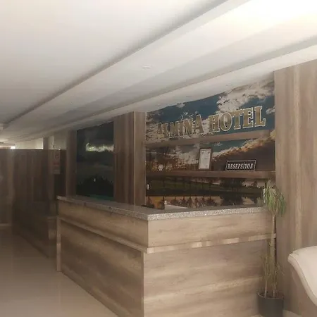 Hotel Almina *